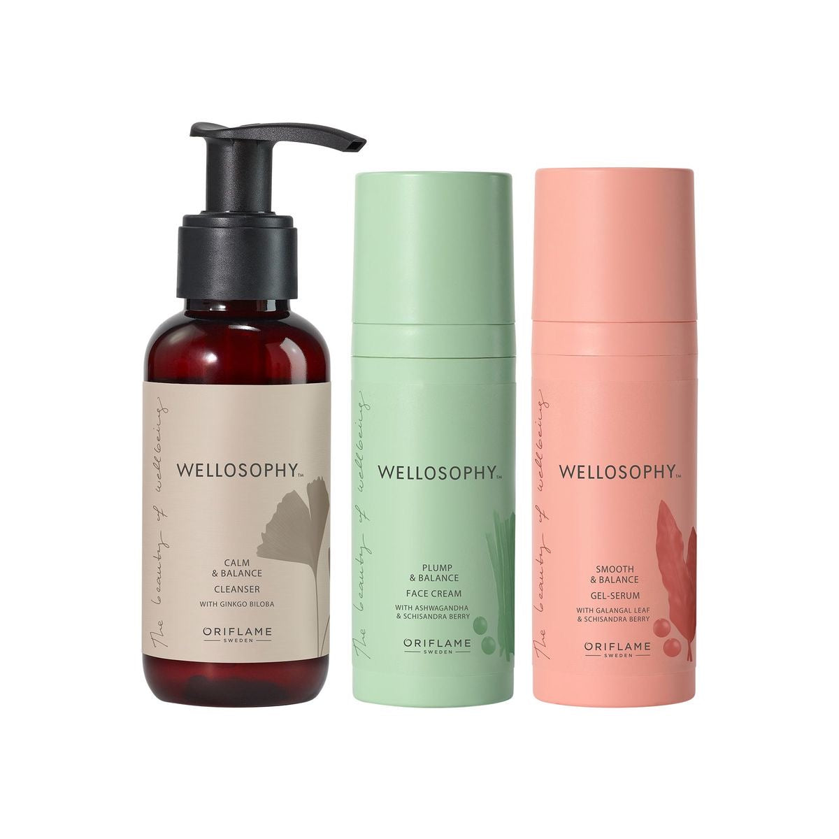 Kit Skin Core Ritual Wellosophy