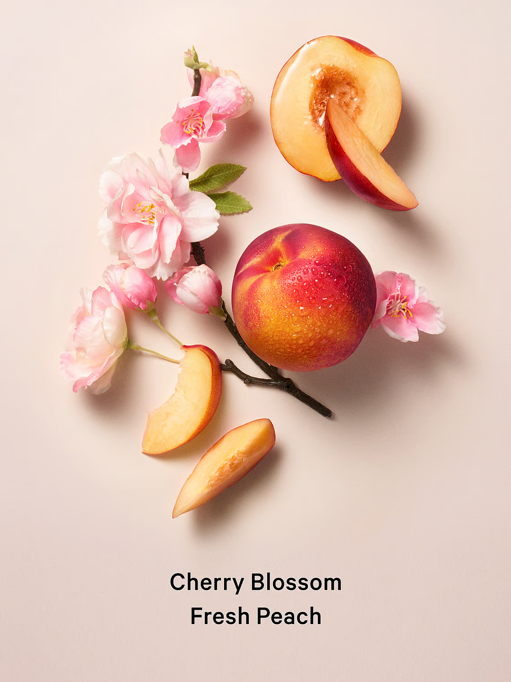 BODY FRAGRANCE
Love Spell & Clear Lip Glow
